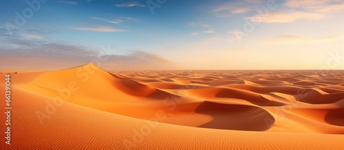 Orange dunes in Morocco s Sahara desert at sunrise With copyspace for text