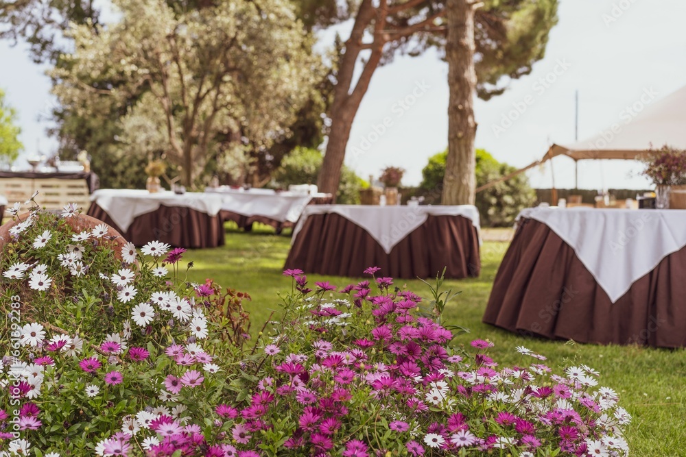 Scenic view of chairs in a garden decorated for a wedding ceremony