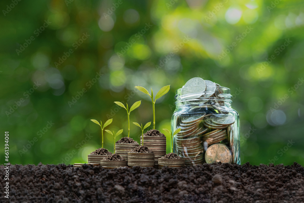 The tree grows on a pile of coins that located on the soil with Coins glass jar. Green business. green investment, finance and sustainability investment. Saving money for the future.Carbon credit.ESG. - obrazy, fototapety, plakaty 