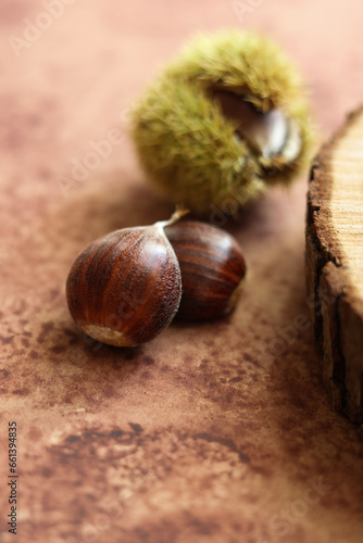 a close up of edible chestnut on a brown watercolor background © gabriela