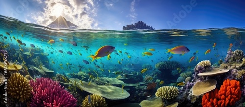 Palau a tropical island nation boasts stunning marine life and rock islands with a vibrant school of colorful snapper swimming above a deep coral reef With copyspace for text © 2rogan