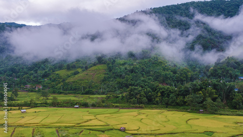 rice paddy field at Sapan Bo Kluea Nan Thailand, a green valley with green rice fields and mountains © Fokke Baarssen