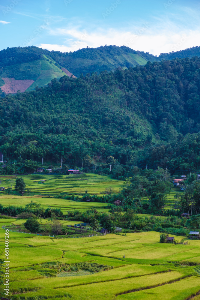 rice terraced paddy field at Sapan Bo Kluea Nan Thailand, a green valley with green rice fields and mountains