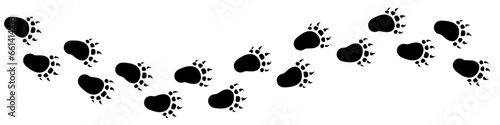 Vector paw trail of bear foot print. Silhouette of grizzly tracks isolated on white background.