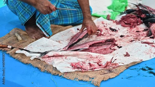 An Arab fisherman cut the tuna fish to preserve and store it. The salted fish is one of the oldest industries in the Arab world. photo