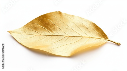 Closeup of a golden tree leaf isolated on white. A gold-plated leaf.