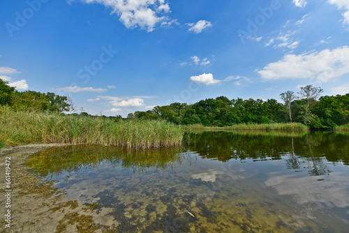 Beautiful summer river landscapes in the forest in Ukraine.