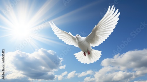 Peace dove-White dove with heart flying in blue sky background