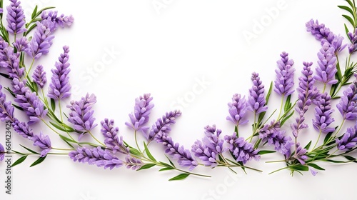 Lavender flowers and leaves frame and border isolated on white background. Top view  flat lay. Creative layout. Floral design element. Healthy eating and alternative medicine concept