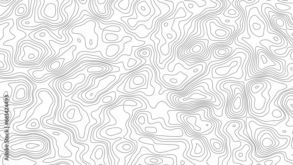 Fototapeta premium Vector seamless background with texture topographic contour line, isolines. Map. Isolated on white background.
