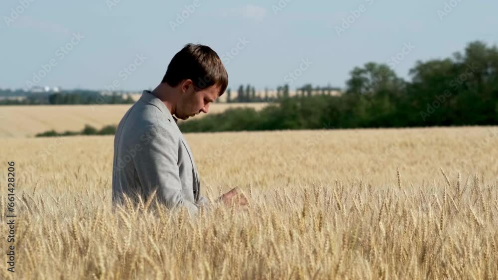 An agronomist farmer grows wheat in a field. Eco-cultural farm. Senior farmer, business owner checking organic crops An agronomist farmer grows wheat in a field. Eco-cultural farm. Senior farmer, business owner checking organic crops