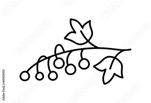 Hand drawn line red ribes fruit berries outline icon vector doodle illustration, suitable for coloring book, logo, illustration, sticker, cover
