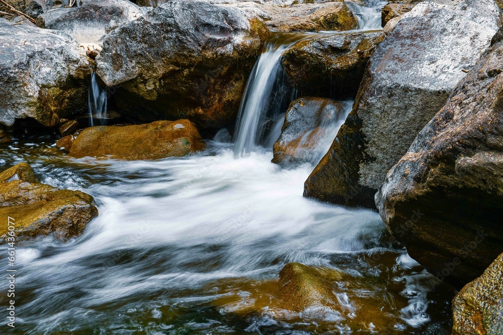Fototapeta premium walking along the river of Austria