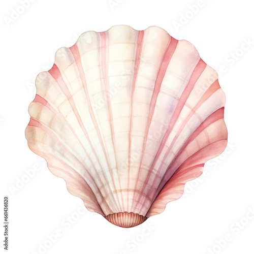 Watercolor shell with pearl