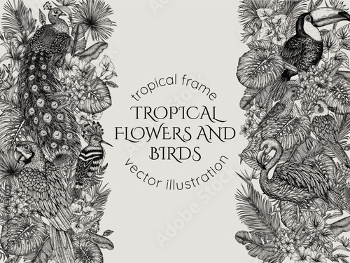 Vector frame. Tropical garden with exotic birds. Macaw parrot, toucan, hoopoe, peacock, flamingos, budgie and cockatiel parrot in engraving style