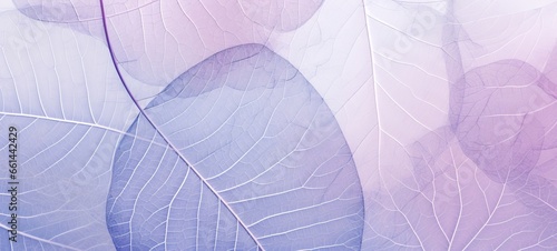 Closeup of abstract purple translucent layered leaves, macro nature organic background texture pattern