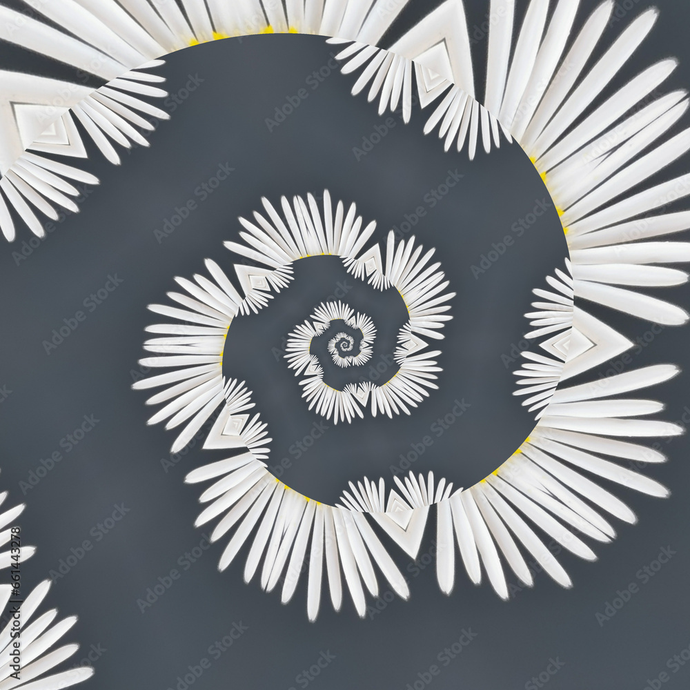 Fototapeta premium traditional daisy and stem white and yellow gold center on a plain grey background