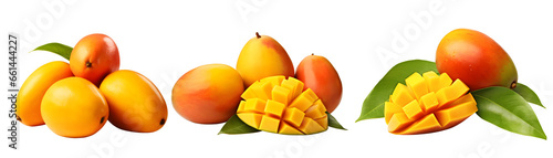collection of Mango. Fresh raw organic fruit. contain vitamins A