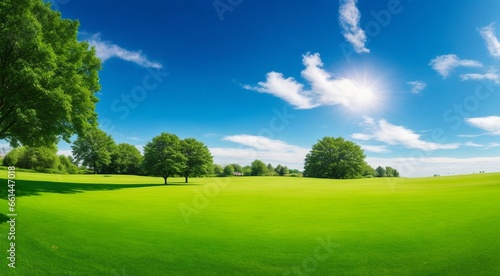 landscape with green grass and trees, landscape with grass and sky, field and sky, panoramic view off green grass field