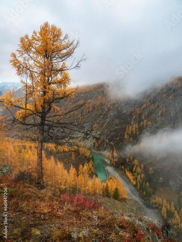 Mountain Altai in the fall, twilight, the Argut river. Beautiful