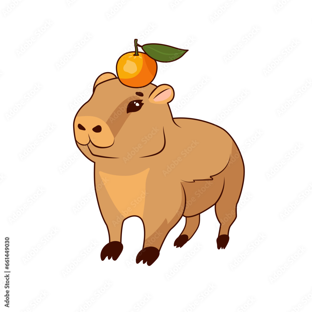 Obraz premium A cute baby capybara with a juicy fragrant orange on his head stands on a white background, isolate