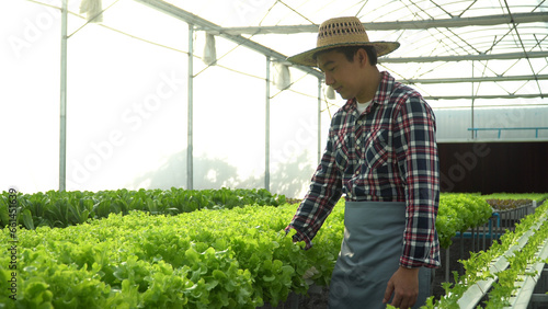 happy asian farmers checking and harvesting vegetables organic in hydroponic farm greenhouse .
