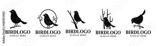 Vector graphic collection of bird silhouettes, easy to edit and resize, EPS 10	