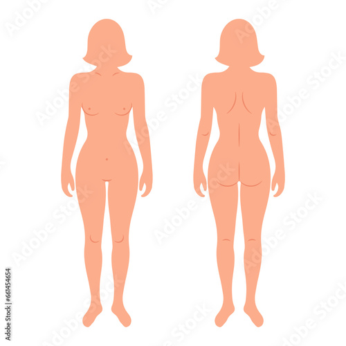 Silhouettes of female human body, back and front. Anatomy. Medical and scientific concept. Illustration, vector