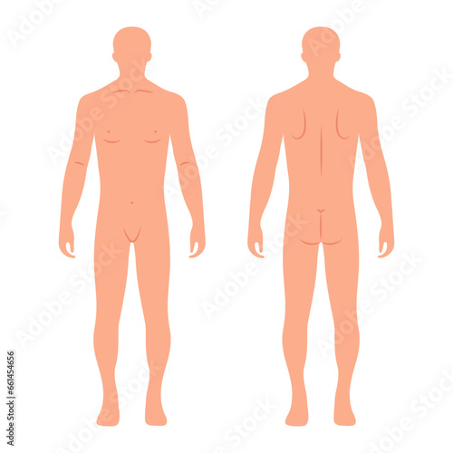 Silhouettes of male human body, back and front. Anatomy. Medical and scientific concept. Illustration, vector