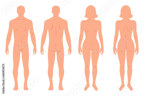 Silhouettes of male and female human body, back and front. Anatomy. Illustration, vector