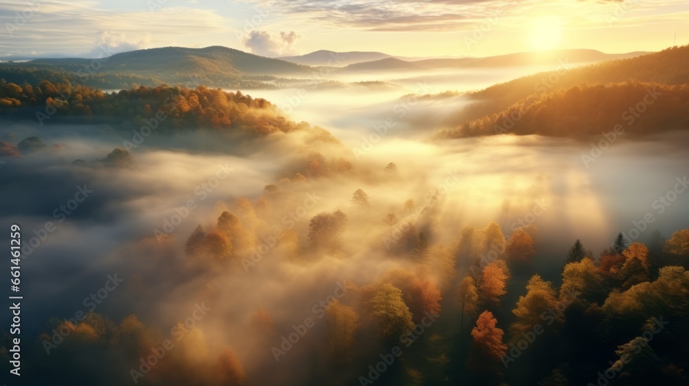 An aerial view of the forest with the sun behind the mist all around, colored autumnal trees in the morning light. An aerial view of the forest with the sun behind the mist all around, colored autumnal trees in the morning light.