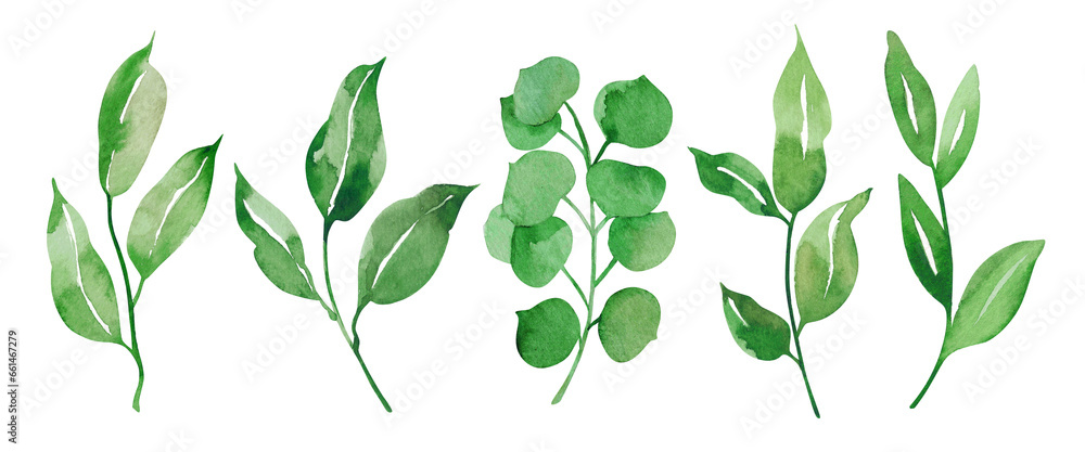 Watercolor green leaves set. Isolated on white background. Hand drawn floral illustrations. For wallpaper, postcard, print, invitations, patterns, poster, packaging, linens