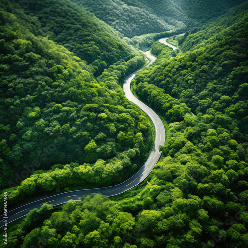 Aerial view of the road with green summer forest