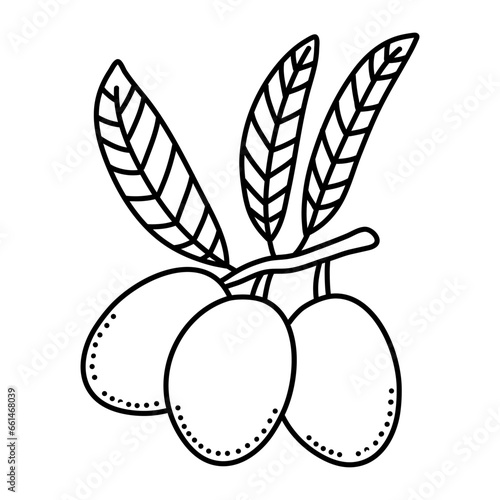 Olives fruit doodle icon design isolated on white background