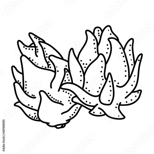Dragon fruit doodle icon isolated on a white background. vector illustration