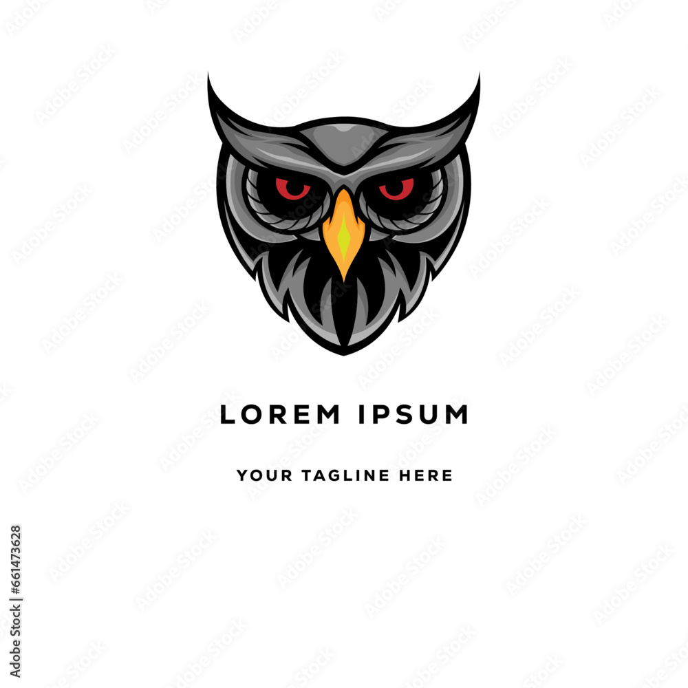 image of an owl image of an owl