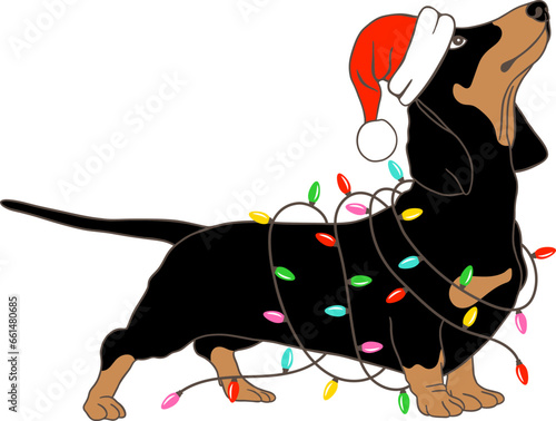 Christmas dachshund dog