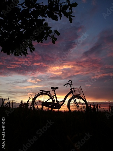 bicycle on sunset © Ivan