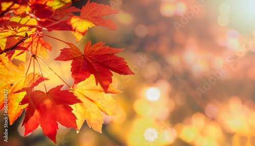 Autumn banner design with red and yellow maple leaves on bokeh background