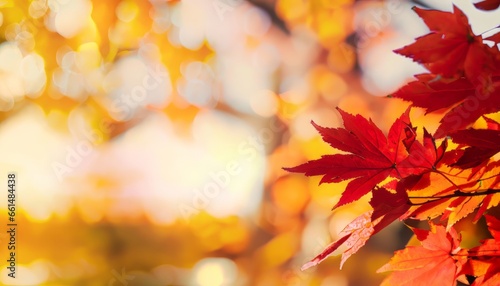Autumn banner design with red and yellow maple leaves on bokeh background