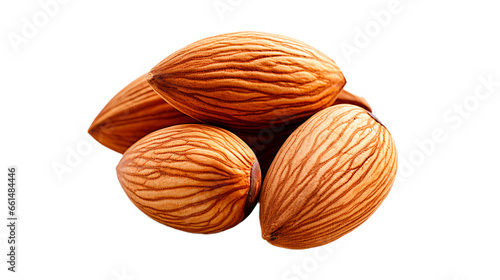 Isolated Almond Nut on Transparent PNG Background. Generative AI.