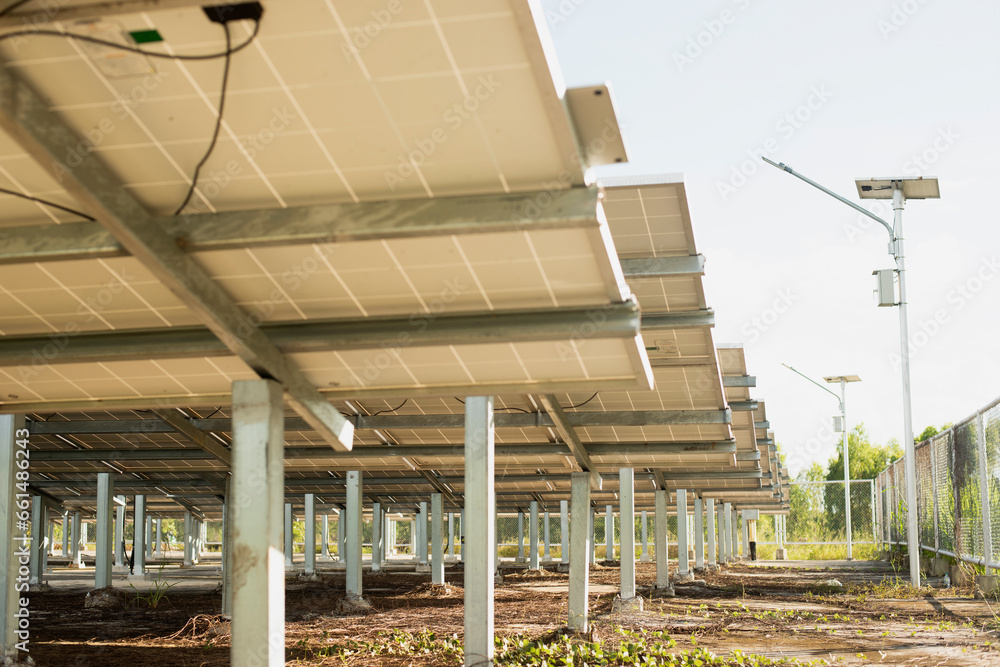 Obraz premium Solar panels, an alternative source of electricity, are a sustainable resource concept, and are a new system that can produce more electricity than ever before.