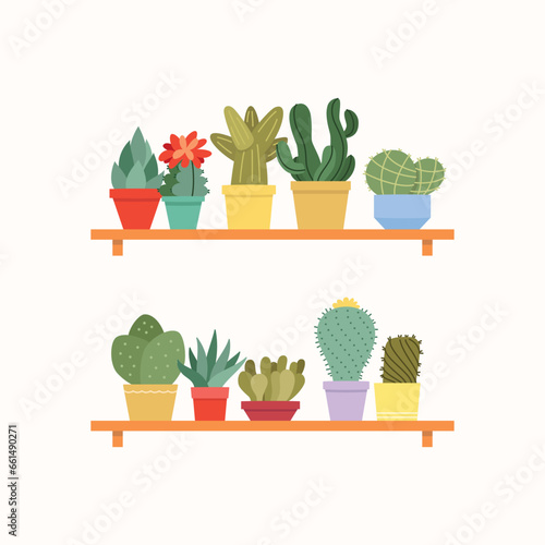 Houseplants shelves. Flat illustration of succulents in colorful flower pots. Vector 10 EPS.
