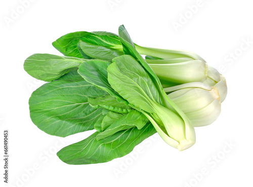 Bok choy (chinese cabbage) transparent png photo