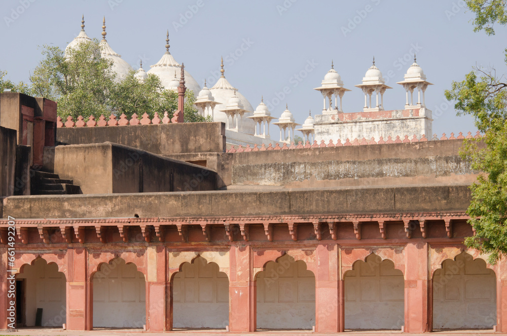 Fototapeta premium Beautiful architecture at Agra Fort, Agra, Uttar Pradesh, India.