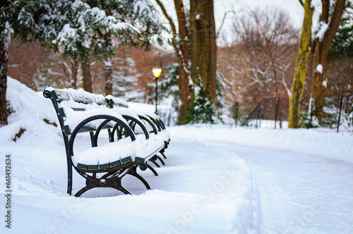snow covered bench