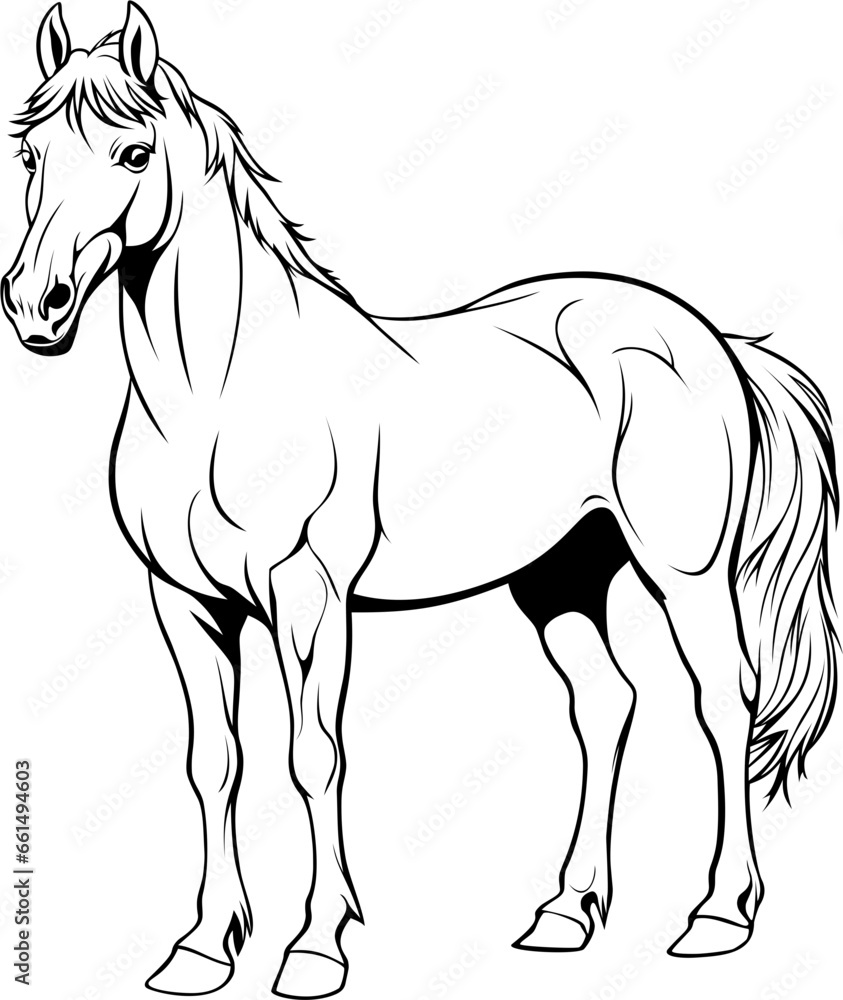Horse Hand Drawn Realistic Detailed Coloring Book Animal Illustrations