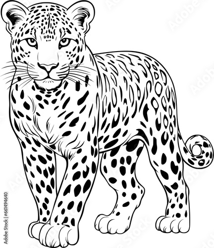 Leopard Hand Drawn Realistic Detailed Coloring Book Animal Illustrations