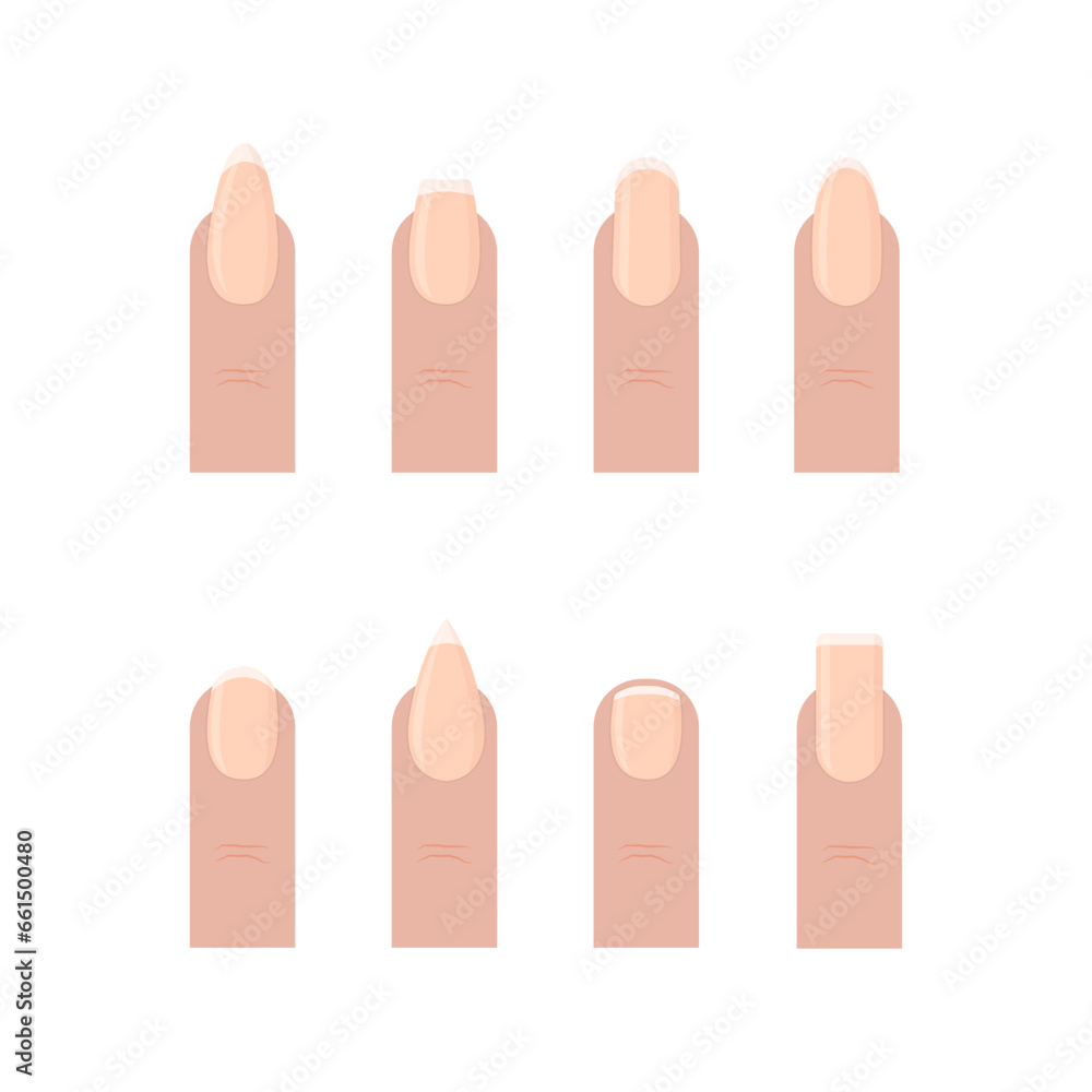 Popular nail shapes with french manicure flat vector illustration Popular nail shapes with french manicure flat vector illustration