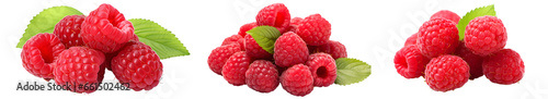 collection of Red raspberry with green small leaves. Fresh raw organic fruit. contain vitamins A